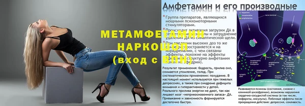 мяу мяу мука Михайловск