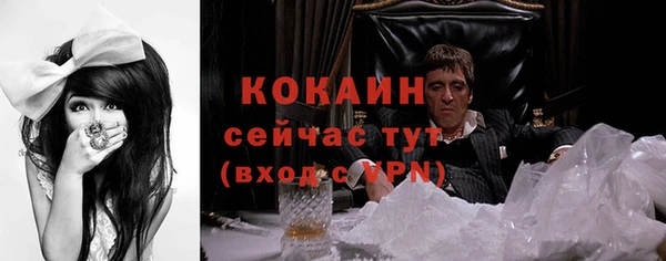 мяу мяу мука Михайловск