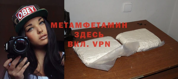 гидра Михайловка