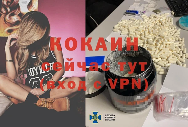 гидра Михайловка