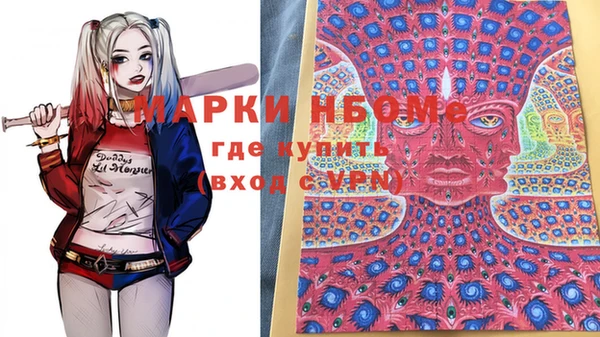 гидра Михайловка