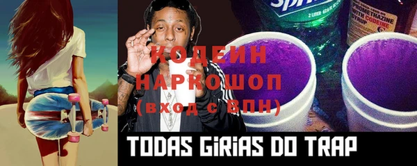 гидра Михайловка