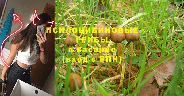 мяу мяу мука Михайловск