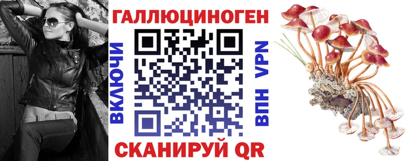 Галлюциногенные грибы Psilocybe  OMG   Смоленск  как найти  