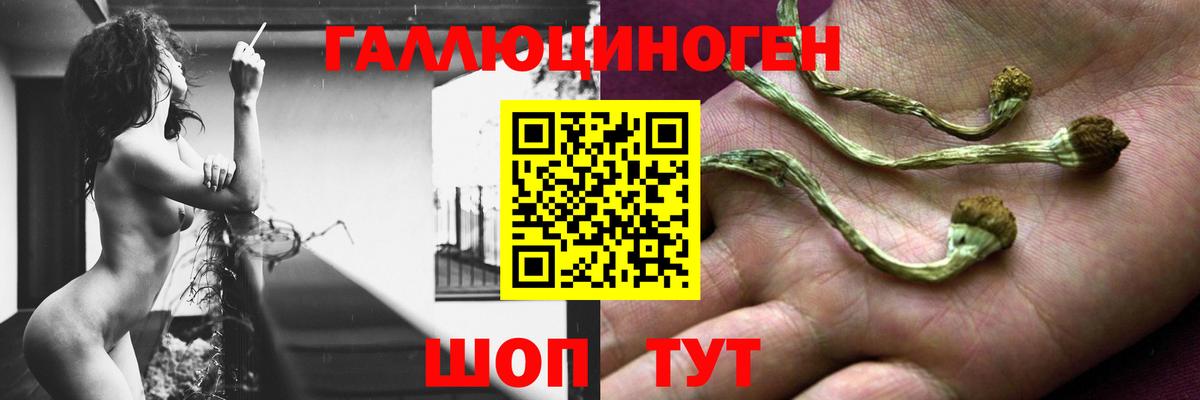 Смоленск  Псилоцибиновые грибы Cubensis  где можно купить   Вход с VPN 