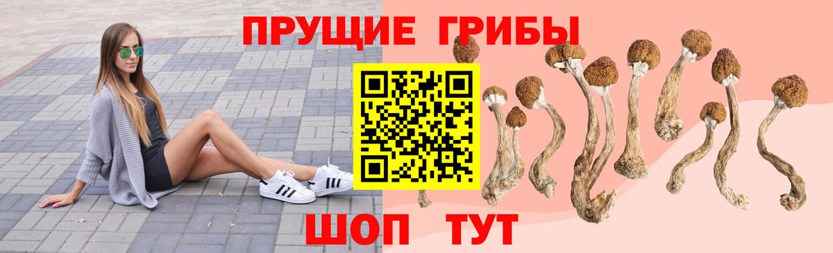 Псилоцибиновые грибы прущие грибы Смоленск